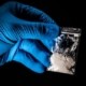 Blue gloved hand holding small bag of white drug